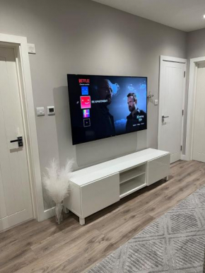 Spacious Executive 1BR Apartment